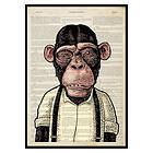 Gallerix Poster The Chimpanzee 2841-30x40