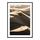 Gallerix Poster Walking In Desert 3623-30x40