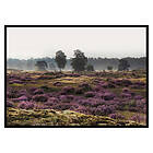 Gallerix Poster Veluwe Meadow 2963-50x70