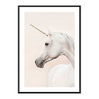 Gallerix Poster Unicorn 4176-50x70