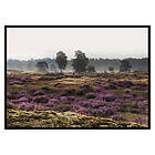 Gallerix Poster Veluwe Meadow 2963-21x30G