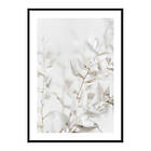 Gallerix Poster White Dried Flower 3993-21x30