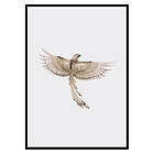 Gallerix Poster Watercolor Jay Bird 3490-21x30G