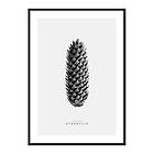 Gallerix Poster Winter Botany No3 4332-21x30G