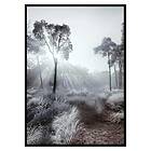 Gallerix Poster Winter Sunrays 3386-21x30G