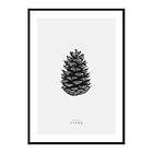 Gallerix Poster Winter Botany No2 4333-50x70