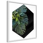 Artgeist Poster Affisch Plant Hexagon A3-POSTERprp0007_brA