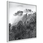 Artgeist Poster Affisch Rainforest A3-POSTERprp0027_brA