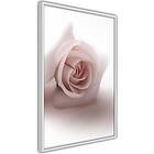 Artgeist Poster Affisch Rose Shadow A3-POprp1232l_brA