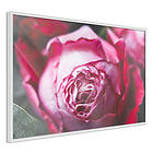 Artgeist Poster Affisch Rose Geometry A3-POprp0111l_brA