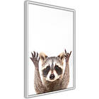 Artgeist Poster Affisch Raccoon A3-POprp0413l_brA