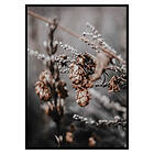 Gallerix Poster Autumn arrival 2987-21x30