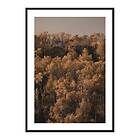 Gallerix Poster Autumn Colored 4232-70x100