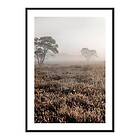 Gallerix Poster Autumn Field 4229-21x30