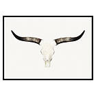 Gallerix Poster Animal Skull 2691-21x30G