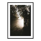 Gallerix Poster Bike In Forest 3874-50x70