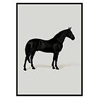 Gallerix Poster Black Horse Port. Drawing 2576-50x70