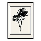 Gallerix Poster Black Flowers 3747-21x30