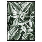 Gallerix Poster Bright Green Botanical No2 2625-21x30