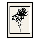 Gallerix Poster Black Flowers 3747-30x40