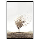 Gallerix Poster Blowing Away 3495-21x30G