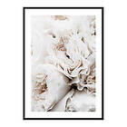 Gallerix Poster Blossoming Roses 3913-21x30