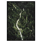 Gallerix Poster Coniferous Forest 3523-70x100