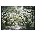 Gallerix Poster Canopy Of Trees 3524-70x100