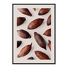 Gallerix Poster Cocoa Fruit 4287-70x100