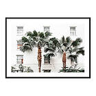Gallerix Poster City Palms 4187-50x70