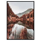 Gallerix Poster Colorado Forest 3003-21x30G