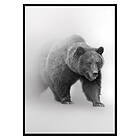Gallerix Poster Faded Bear 3304-50x70