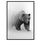 Gallerix Poster Faded Bear 3304-30x40