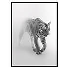 Gallerix Poster Faded Tiger 3305-70x100