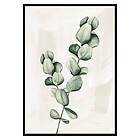 Gallerix Poster Eucalyptus Watercolor 2590-70x100