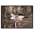 Gallerix Poster Fairy 3539-21x30