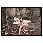 Gallerix Poster Fairy 3539-21x30G