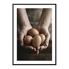 Gallerix Poster Free Range Eggs 3977-30x40