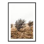 Gallerix Poster Grassy Field And Trees 4310-30x40
