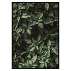 Gallerix Poster Garden Green No1 2609-50x70