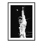 Gallerix Poster Freddie Mercury 4275-21x30
