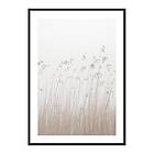 Gallerix Poster Grass In Fog 4231-21x30G