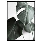 Gallerix Poster Green Leaves No1 3415-50x70
