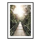 Gallerix Poster Hanging Bridge In Costa Rica 4305-21x30G