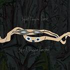 Animal Collective Spirit They're Gone, They've Vanished CD