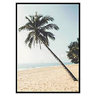 Gallerix Poster Leaning Palm 2856-70x100
