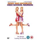 Romy and Michelle's High School Reunion (DVD)
