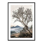 Gallerix Poster Lonely Tree Against Sky 4177-21x30G