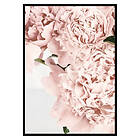 Gallerix Poster Loving Roses No2 2655-70x100