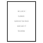 Gallerix Poster Like A Flower 3521-30x40